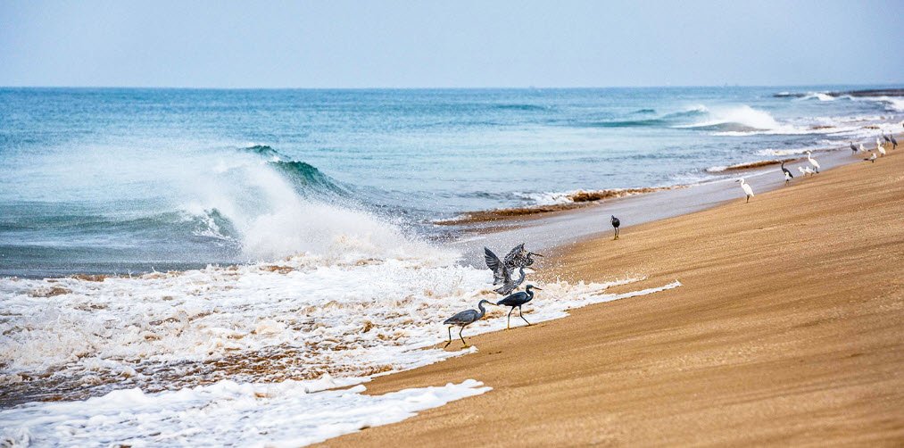 Madhavpur Beach, Gujarat, India